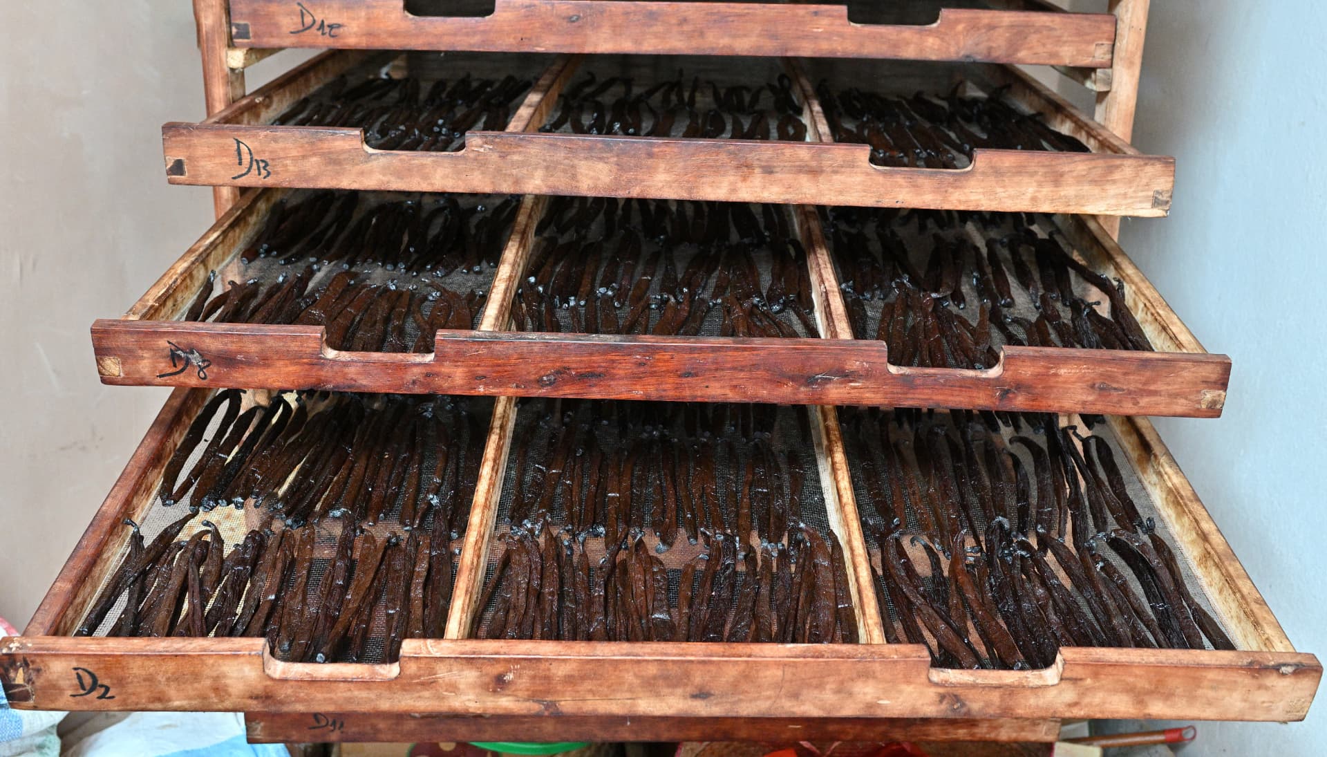 Vanilla beans resting in labelled wooden drying racks